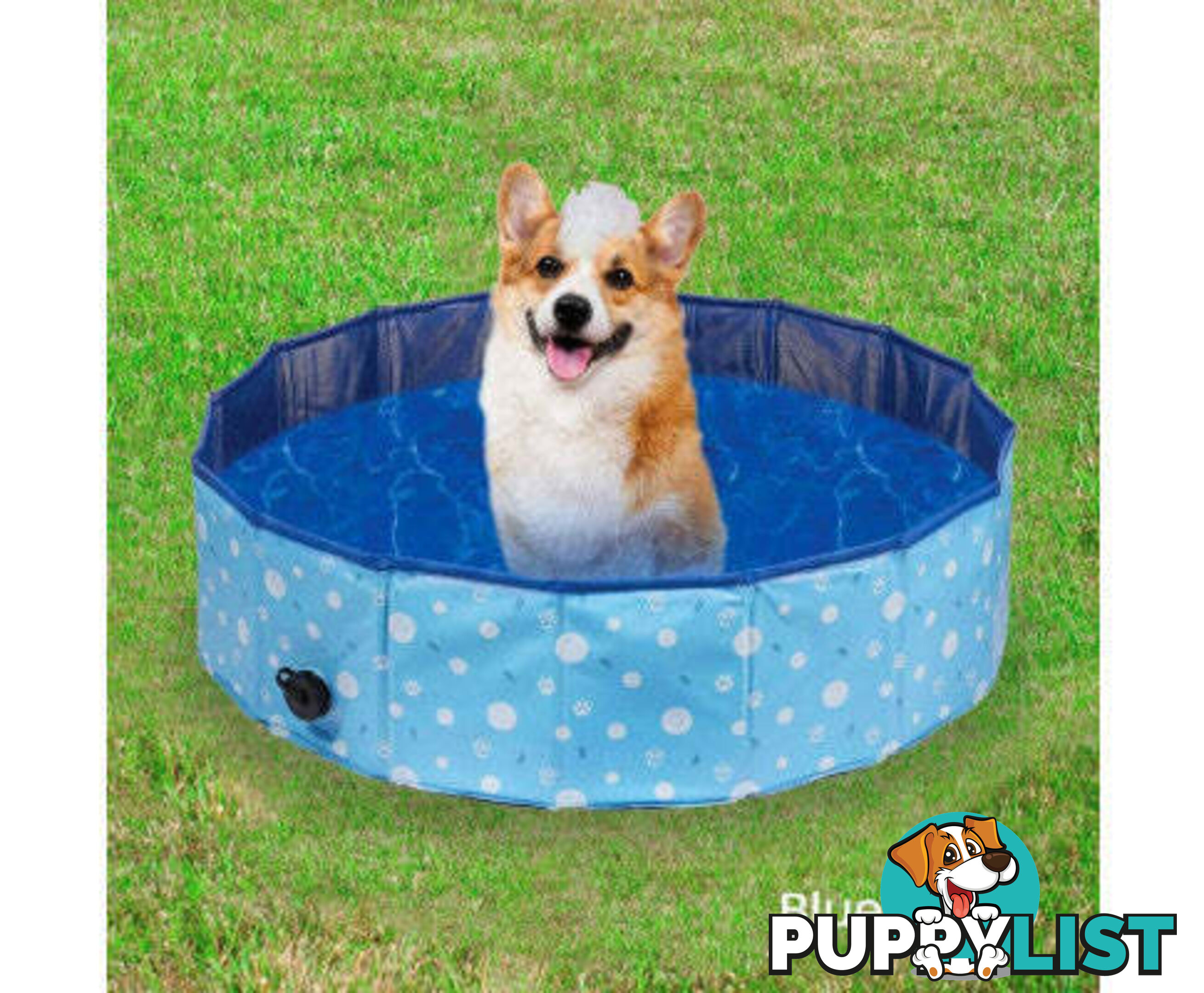 Floofi Pet Pool - V227-3331641005040