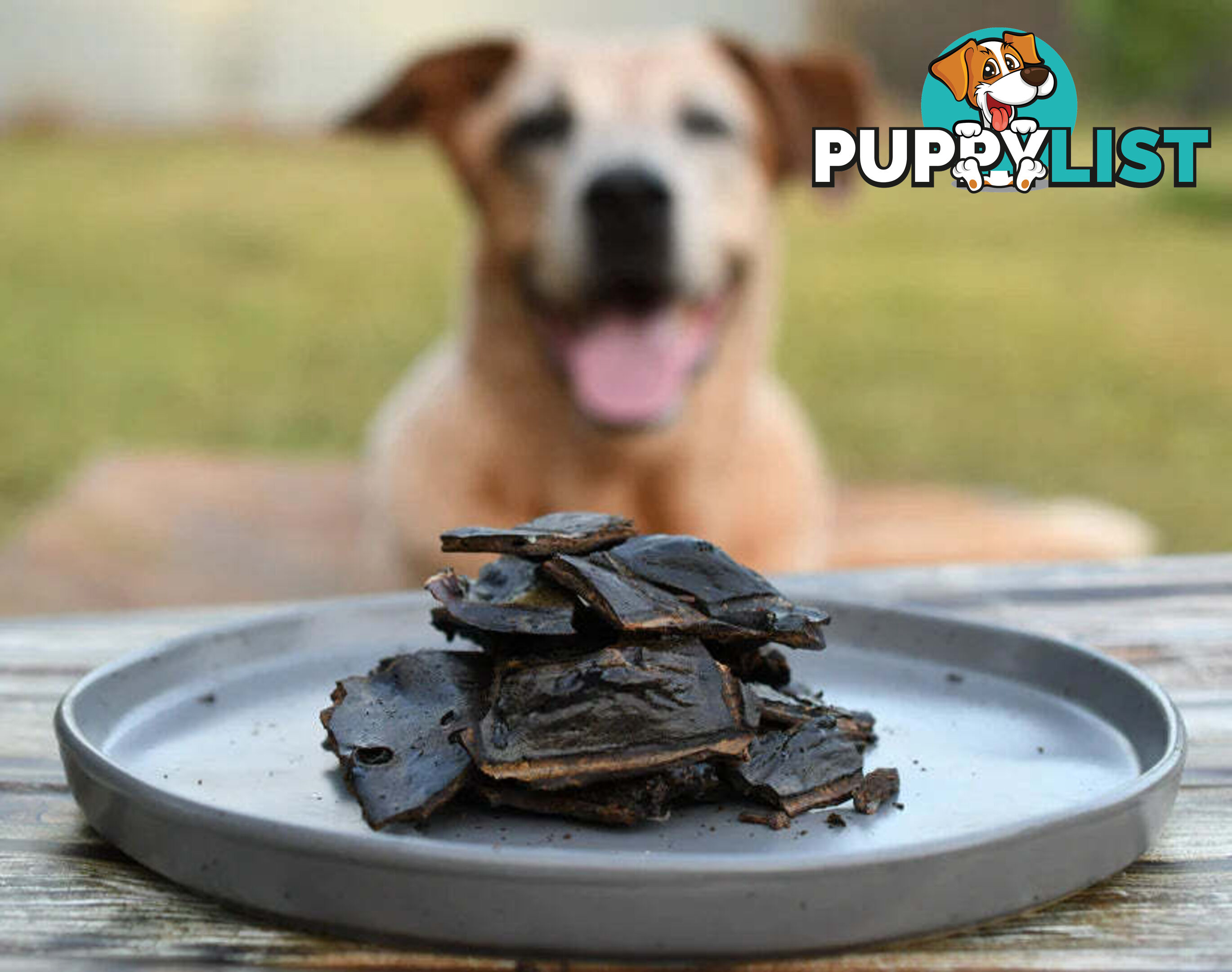Beef Liver Treats 400g - Paddock to Plate - PTPLIV400