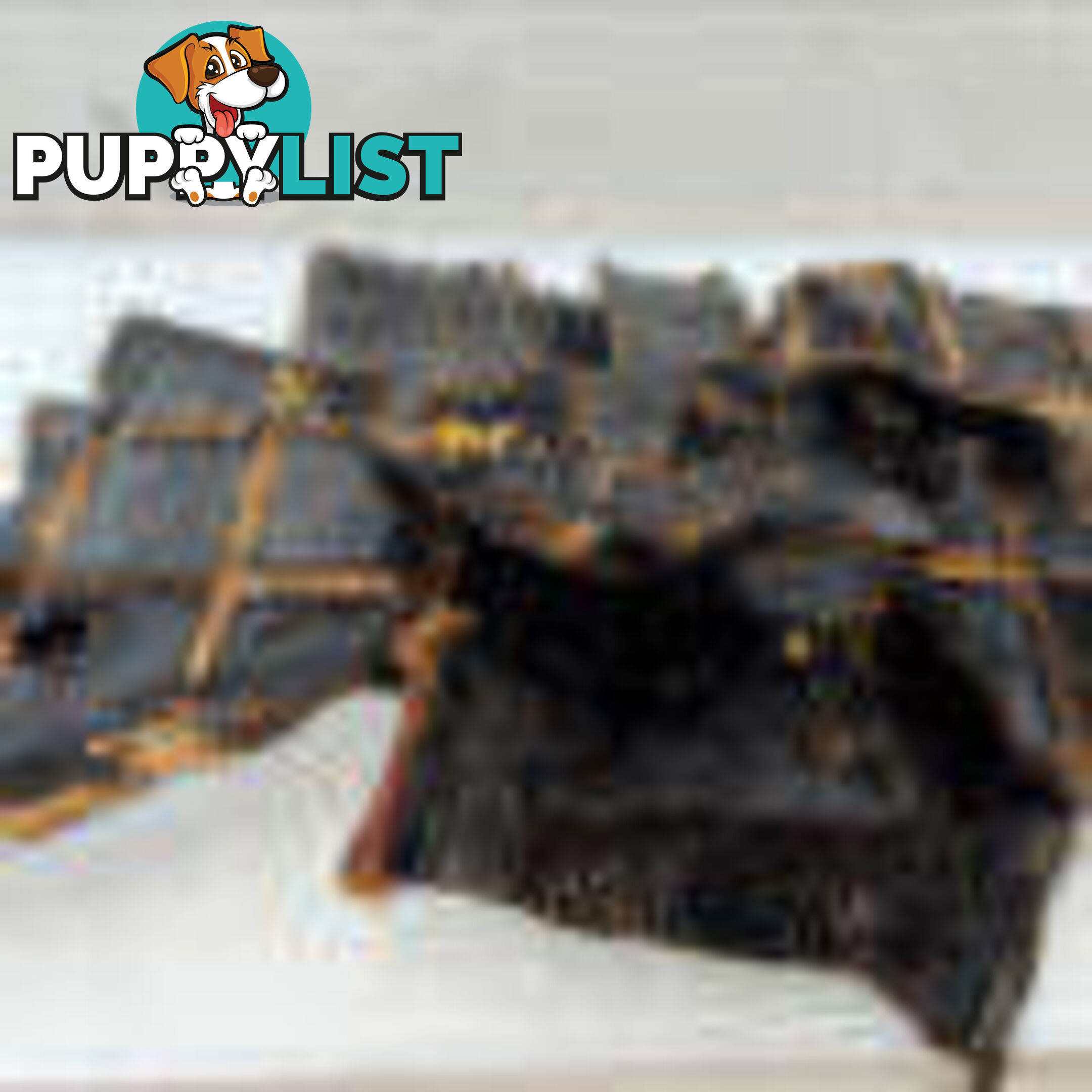 Beef Liver Treats 400g - Paddock to Plate - PTPLIV400