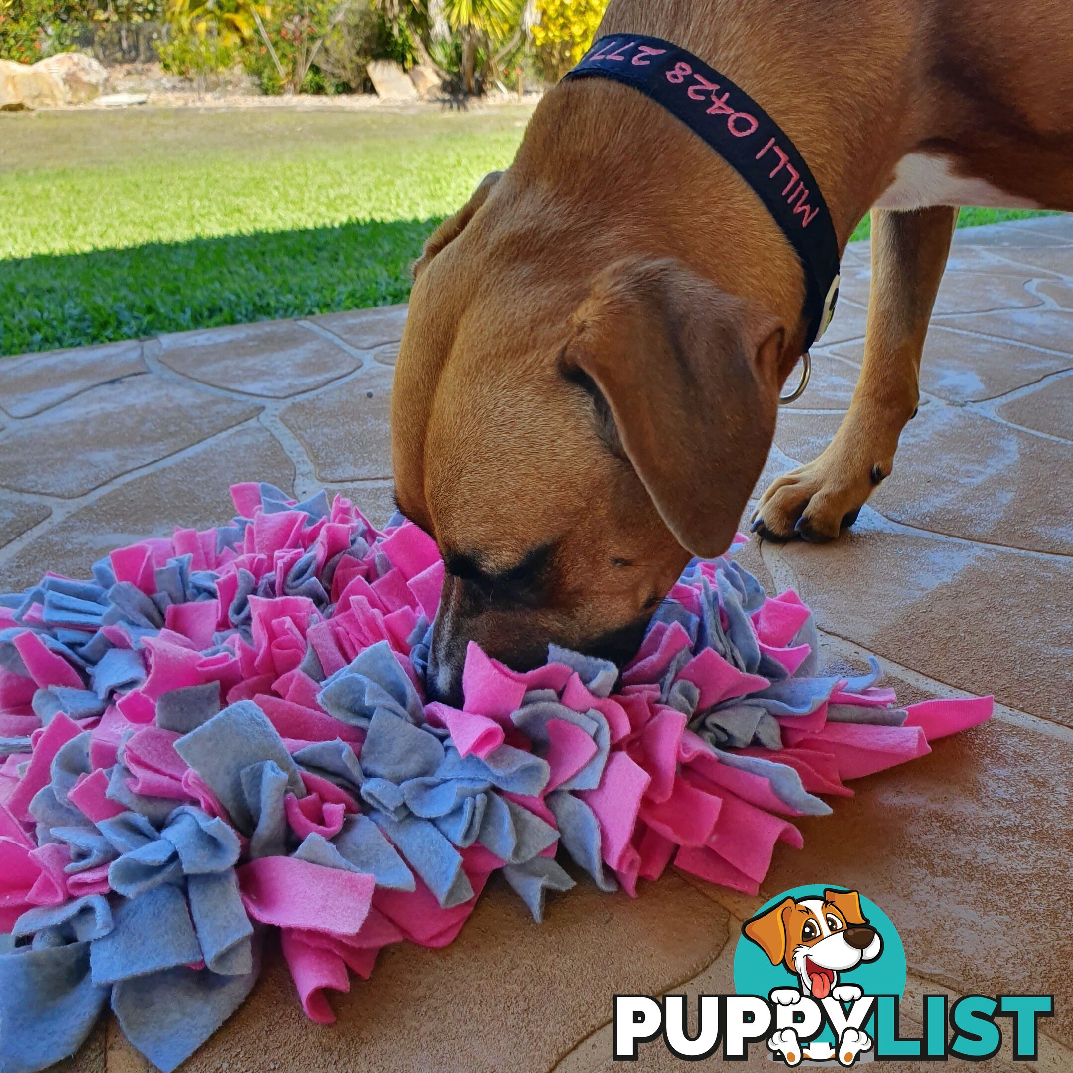 Snuffle Mats - Premium Heavy Duty Rubber Based - Pet Treat Play - Calms Anxiety - Slow Feeder - SNUFFLE-S-RDGN