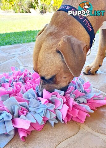 Snuffle Mats - Premium Heavy Duty Rubber Based - Pet Treat Play - Calms Anxiety - Slow Feeder - SNUFFLE-S-RDGN