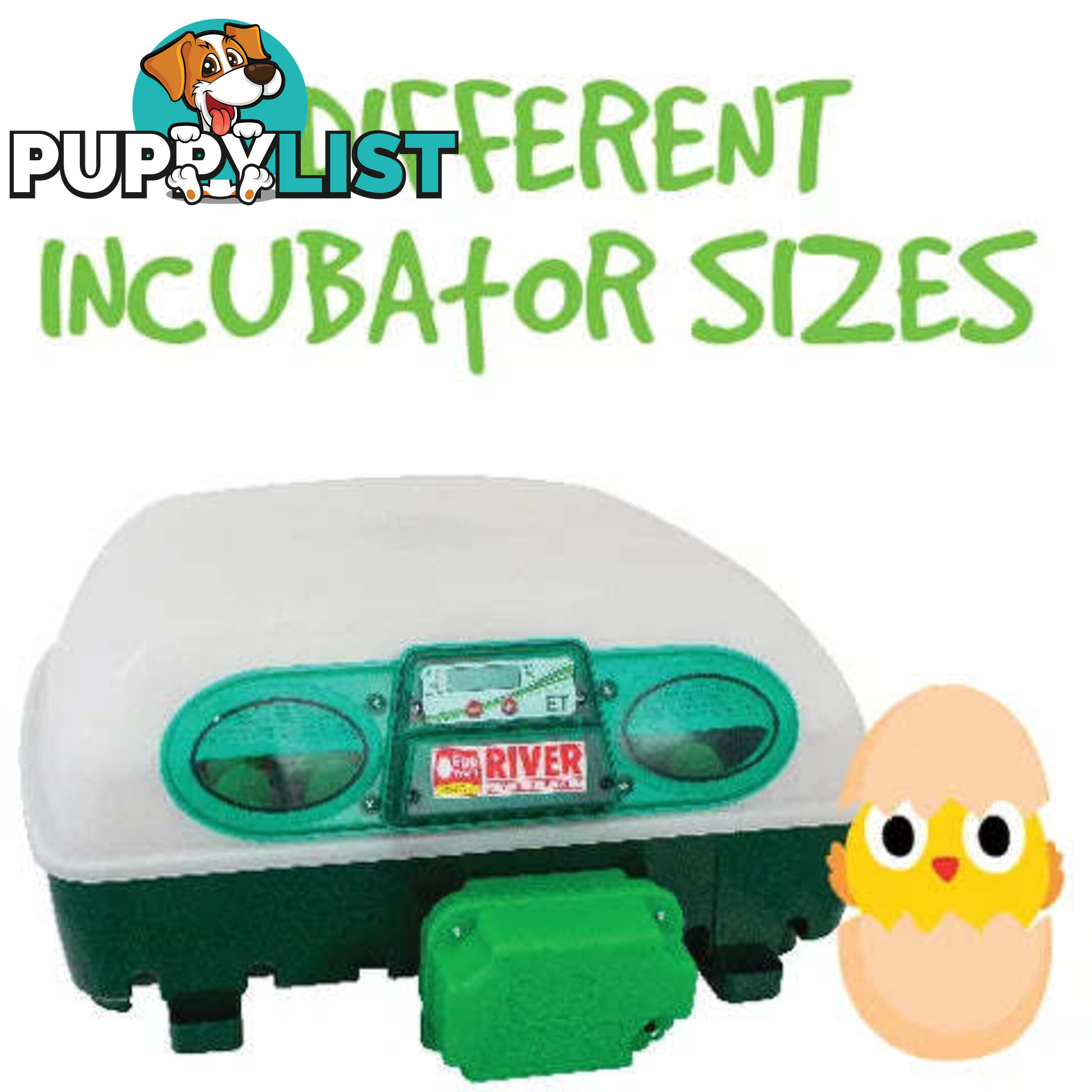 INCUBATORS - BAINBRIDGE - BB-A8075