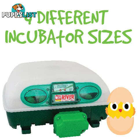 INCUBATORS - BAINBRIDGE - BB-A8075