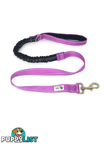 Bungee Dog Lead Nylon w/Reflective Stitching - Moondidley Pets - MDPLDBUNLBL