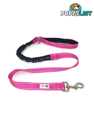 Bungee Dog Lead Nylon w/Reflective Stitching - Moondidley Pets - MDPLDBUNLBL