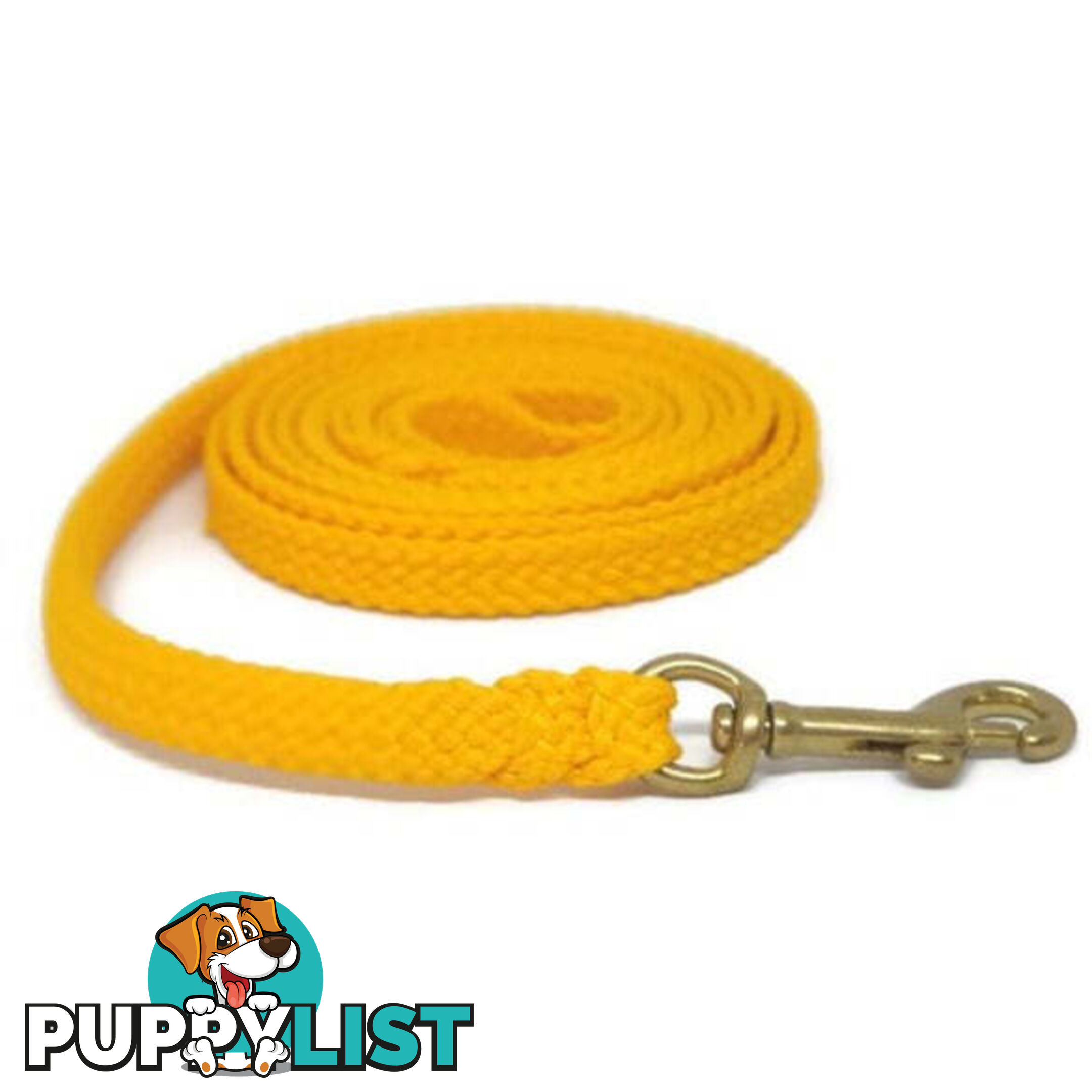 1.8m to 10m Long Dog Lead No Stitching Tough Yarnix 10mm Wide - YNXLD10-3-GRN-BR