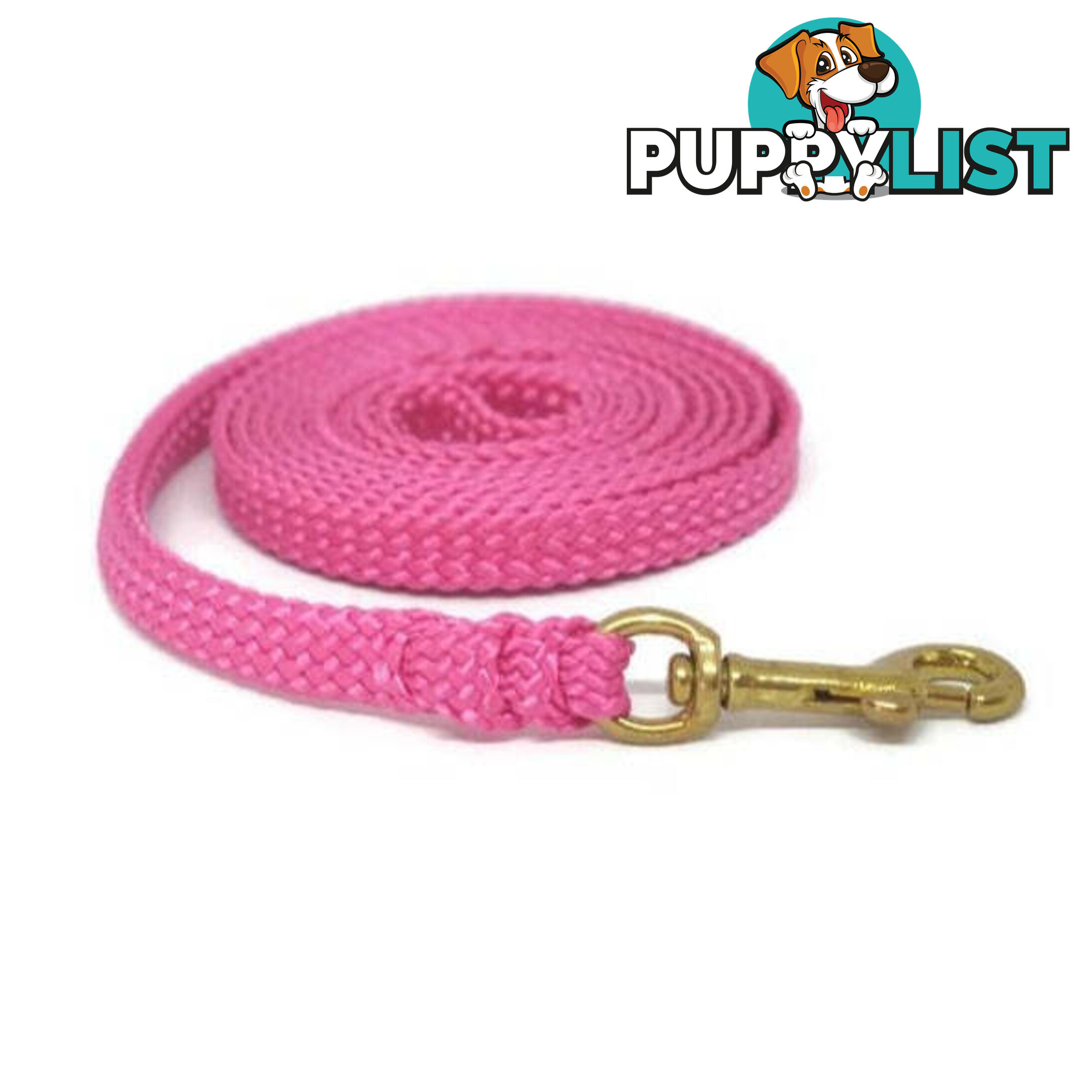 1.8m to 10m Long Dog Lead No Stitching Tough Yarnix 10mm Wide - YNXLD10-5-PNK-BR