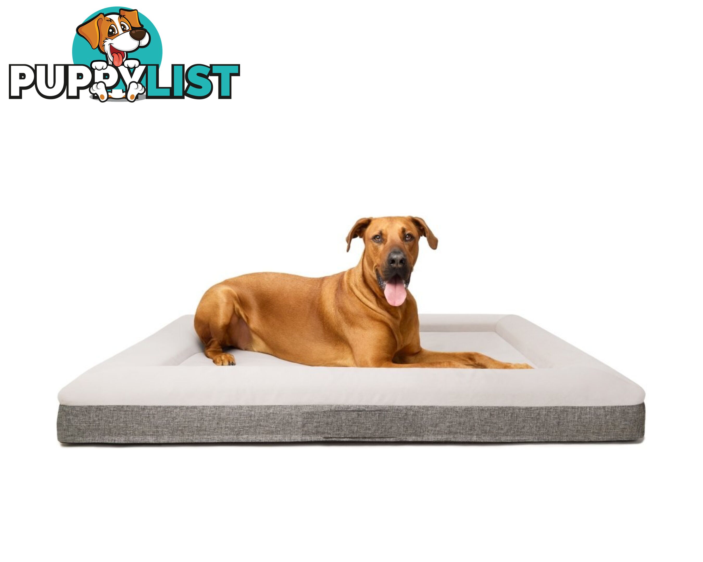 Fur King "Ortho" Orthopaedic Dog Bed - XL - V364-DFUXDP0333S