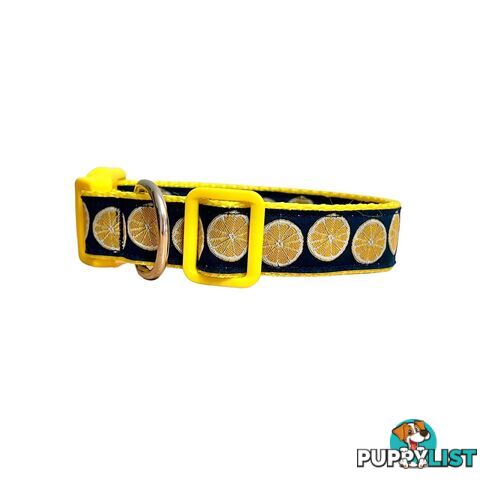 Lemon Dog Collar / XS - L - Hand Made by The Bark Side - TBSLEMSML
