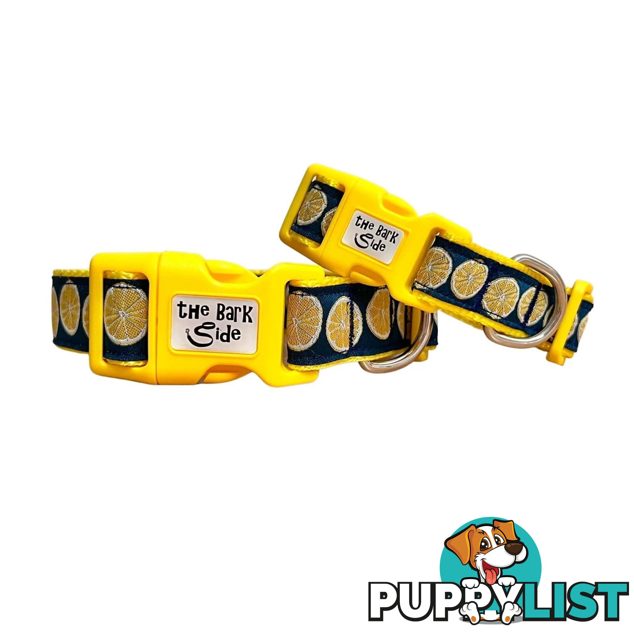 Lemon Dog Collar / XS - L - Hand Made by The Bark Side - TBSLEMSML