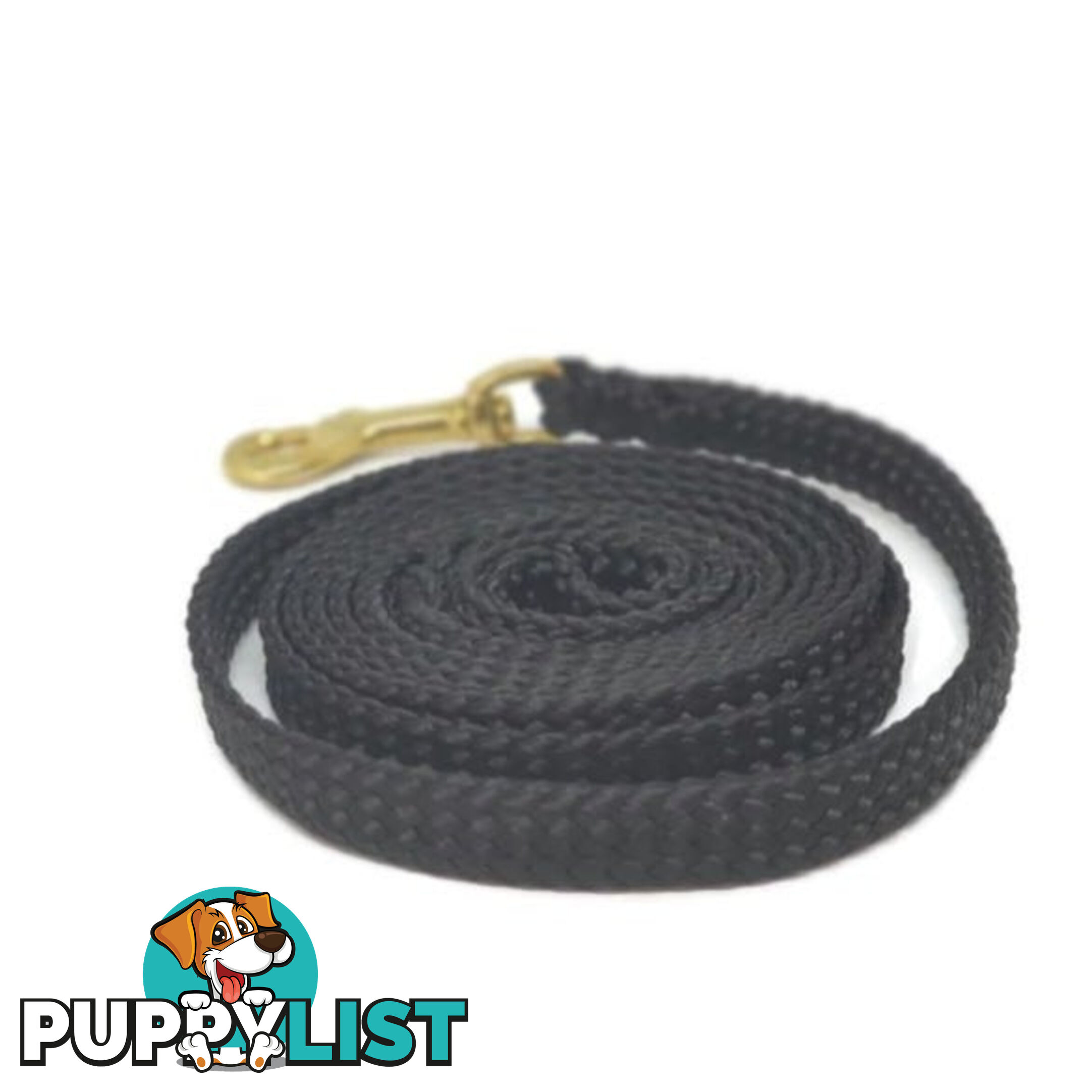 1.8m to 10m Long Dog Lead No Stitching Tough Yarnix 10mm Wide - YNXLD10-5-GRN-BR