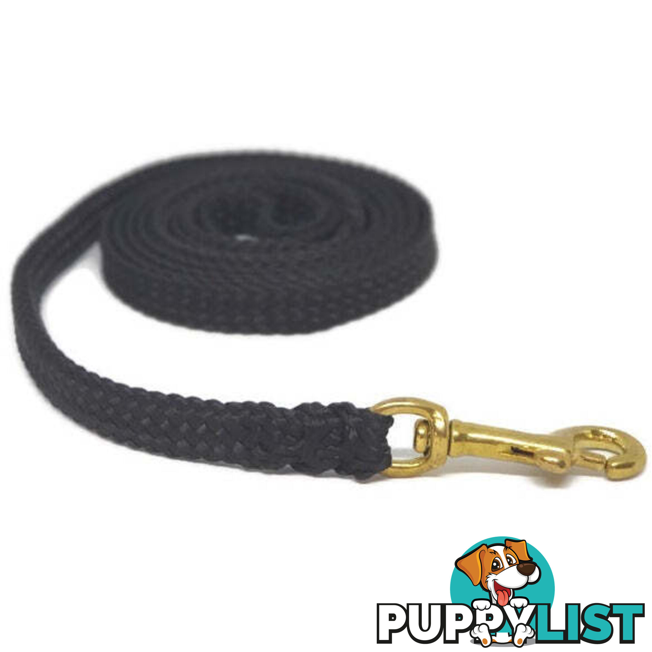 1.8m to 10m Long Dog Lead No Stitching Tough Yarnix 10mm Wide - YNXLD10-5-GRN-BR