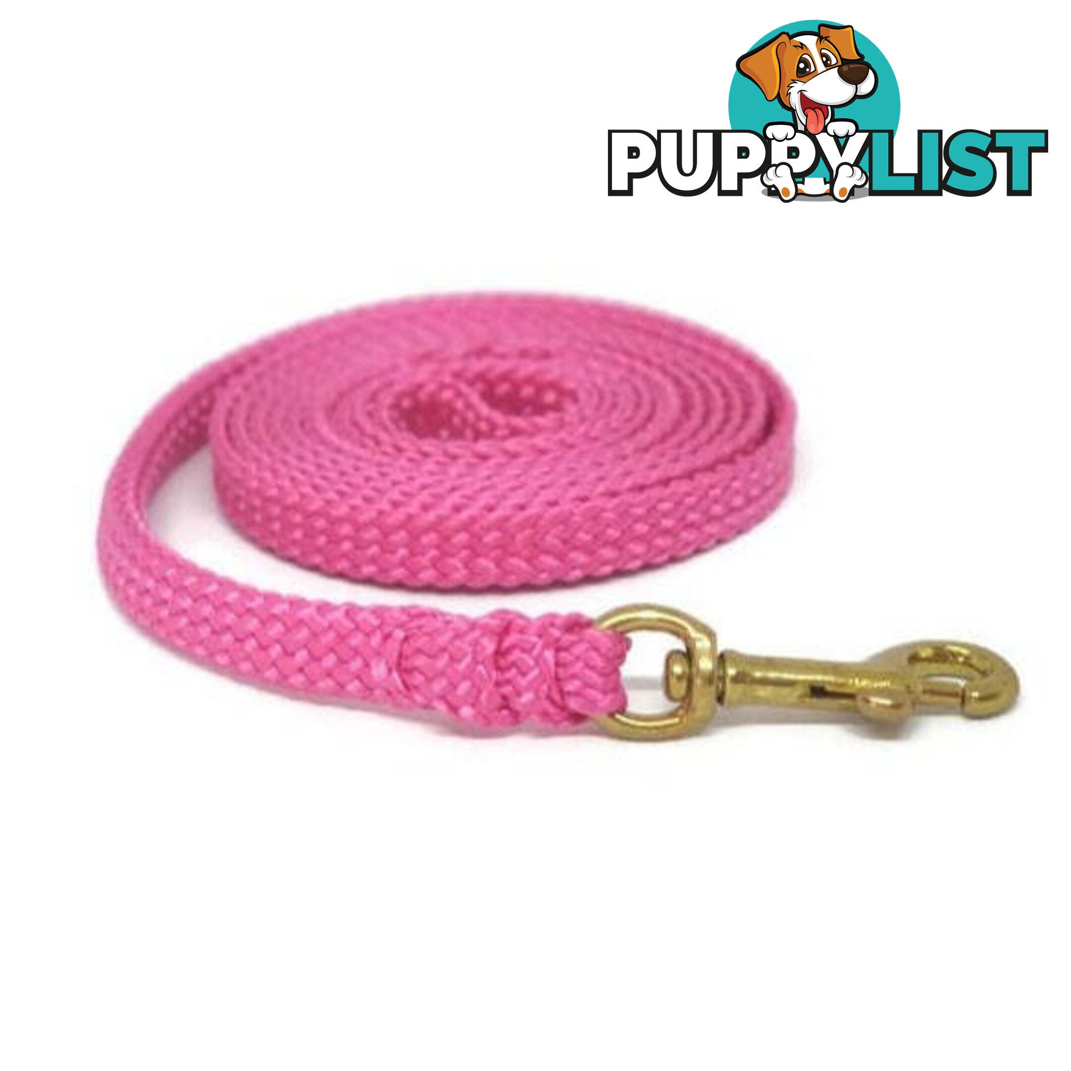 1.8m to 10m Long Dog Lead No Stitching Tough Yarnix 10mm Wide - YNXLD10-5-GRN-BR