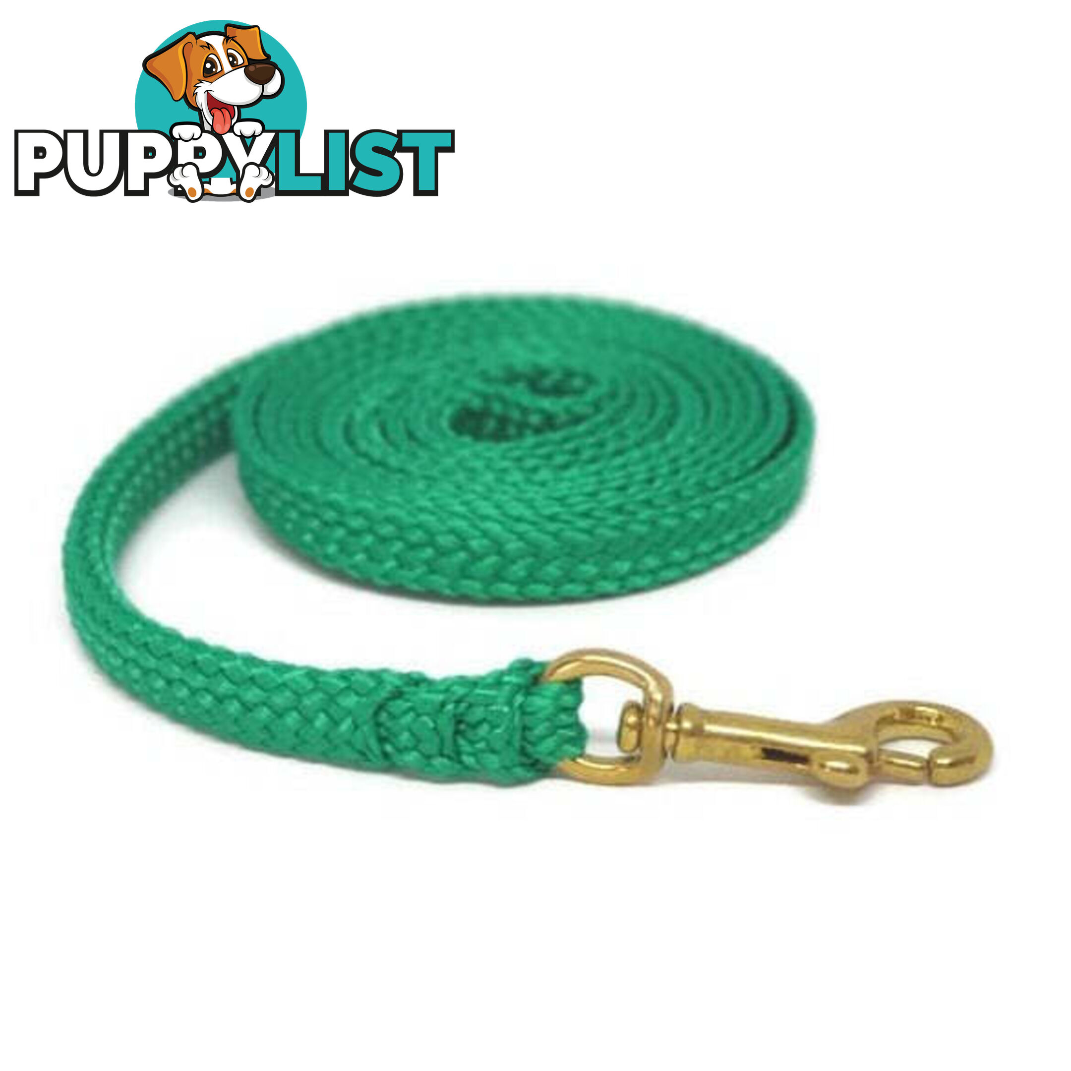 1.8m to 10m Long Dog Lead No Stitching Tough Yarnix 10mm Wide - YNXLD10-5-GRN-BR