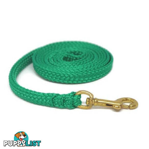 1.8m to 10m Long Dog Lead No Stitching Tough Yarnix 10mm Wide - YNXLD10-5-GRN-BR