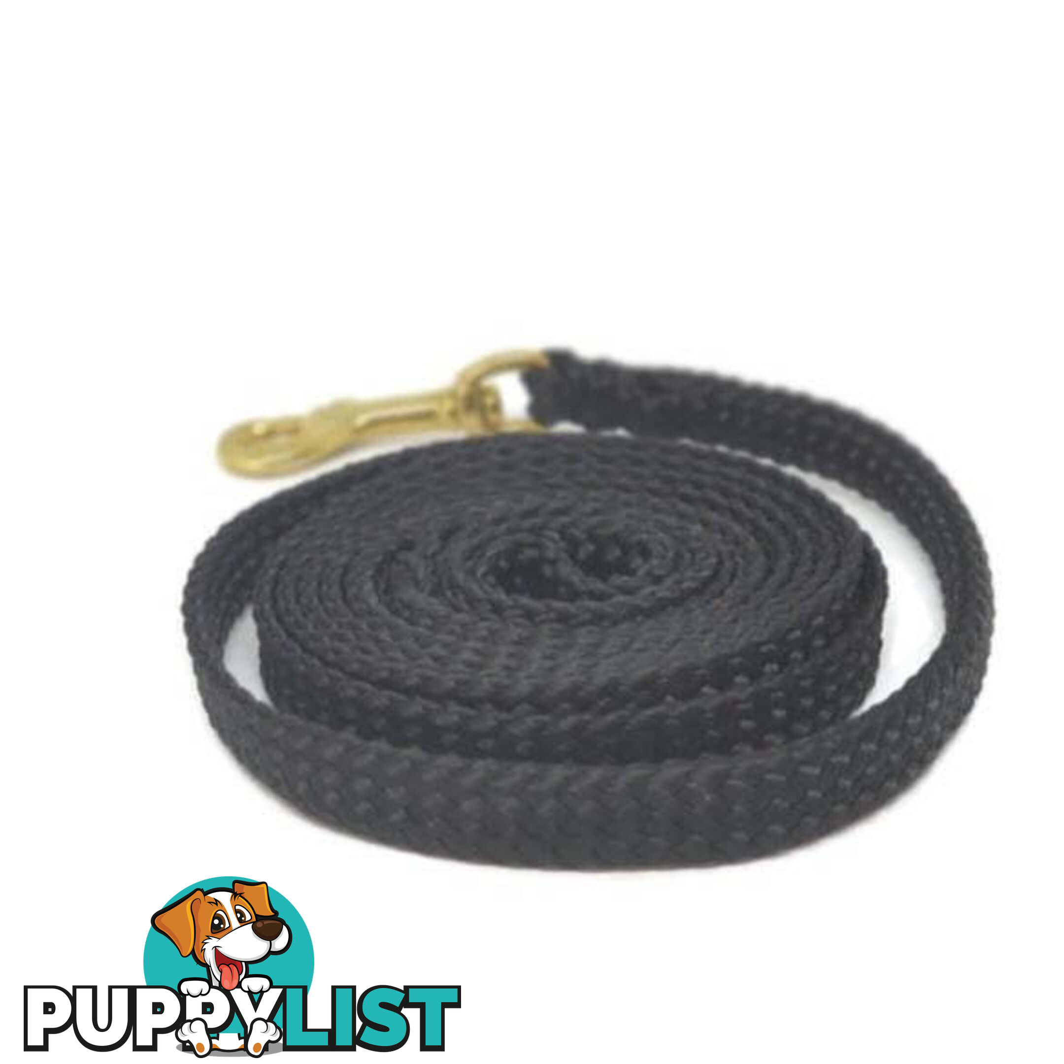1.8m to 10m Long Dog Lead No Stitching Tough Yarnix 10mm Wide - YNXLD10-5-GRN-BR