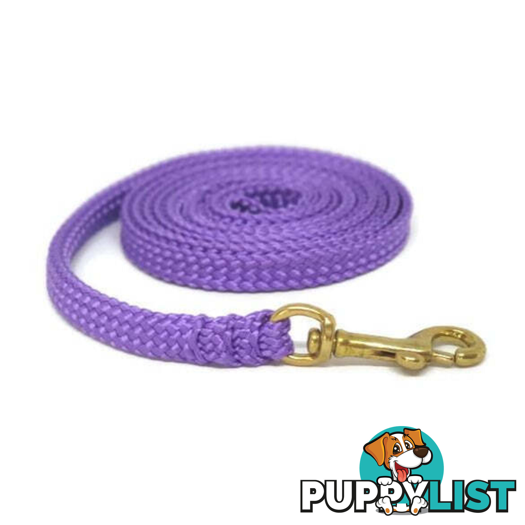 1.8m to 10m Long Dog Lead No Stitching Tough Yarnix 10mm Wide - YNXLD10-5-GRN-BR