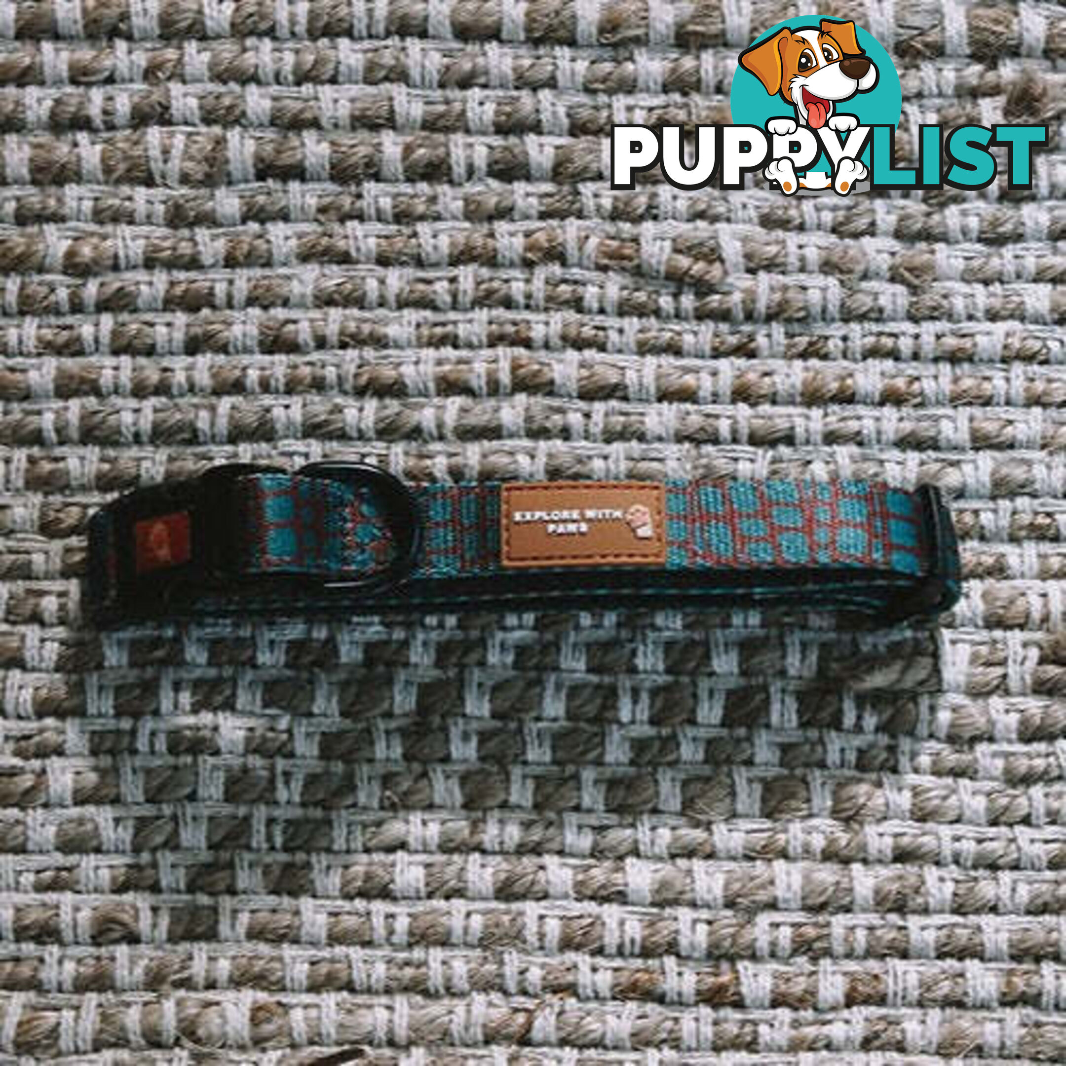Designer Dog Collars by Explore with Paws - EWPCOLLTIGN