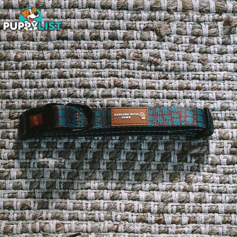 Designer Dog Collars by Explore with Paws - EWPCOLLTIGN