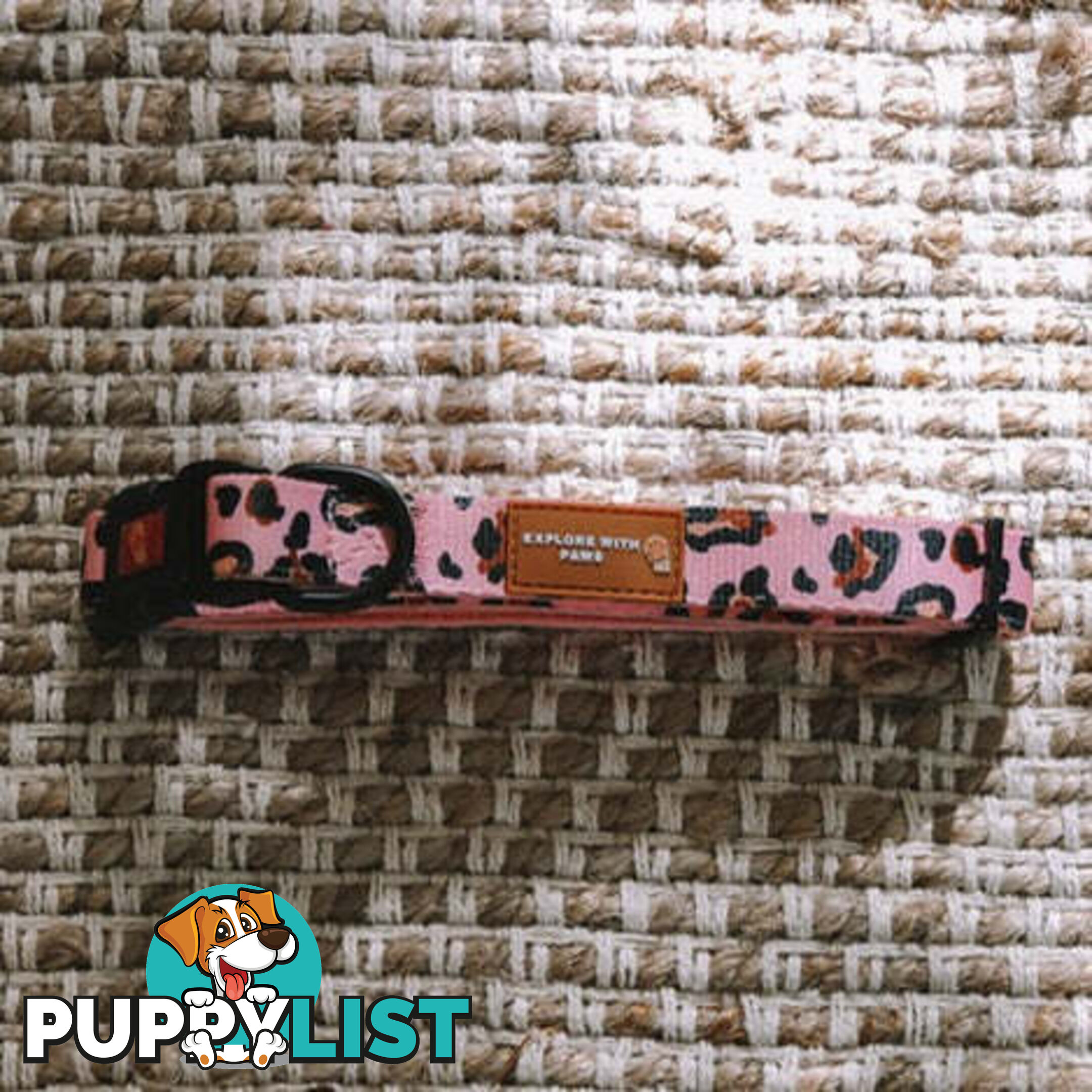 Designer Dog Collars by Explore with Paws - EWPCOLLTIGN