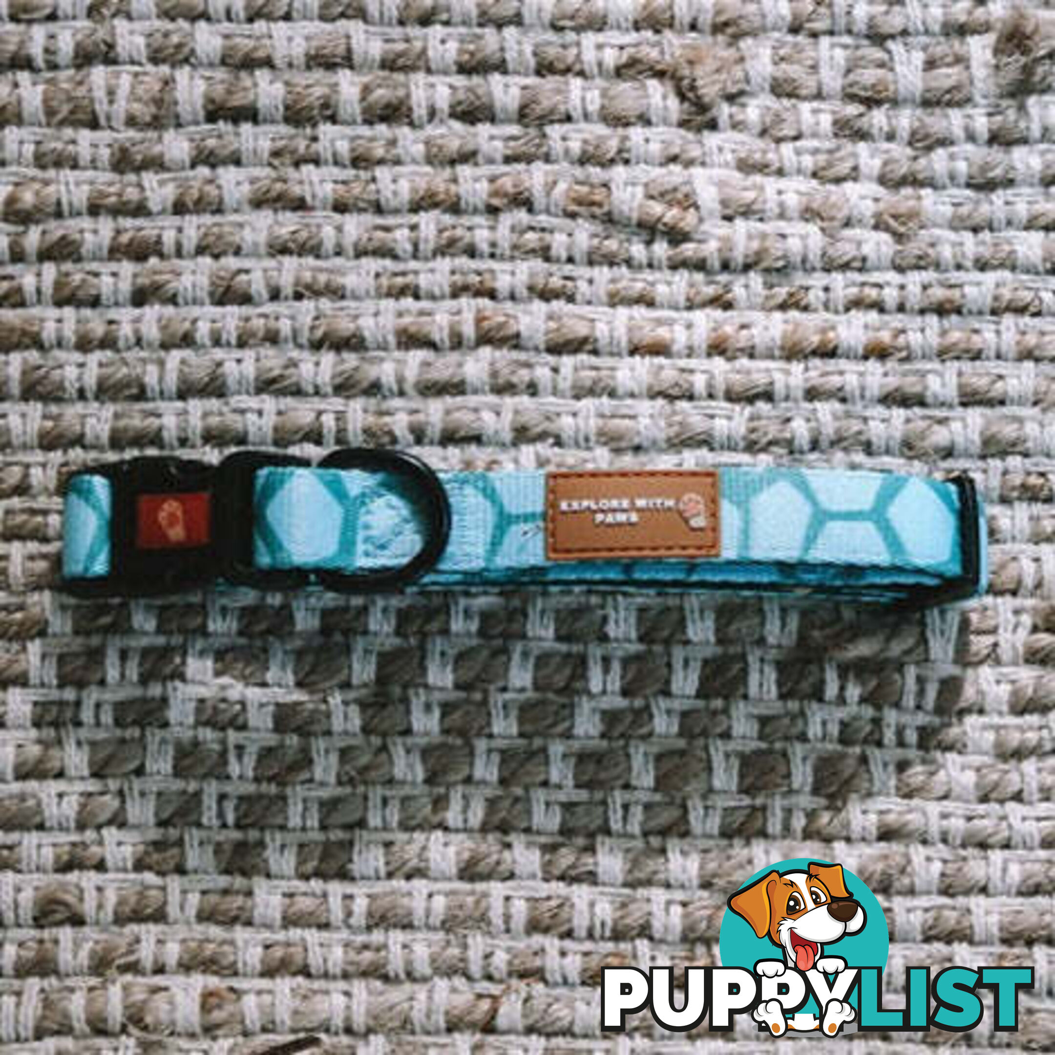 Designer Dog Collars by Explore with Paws - EWPCOLLTIGN