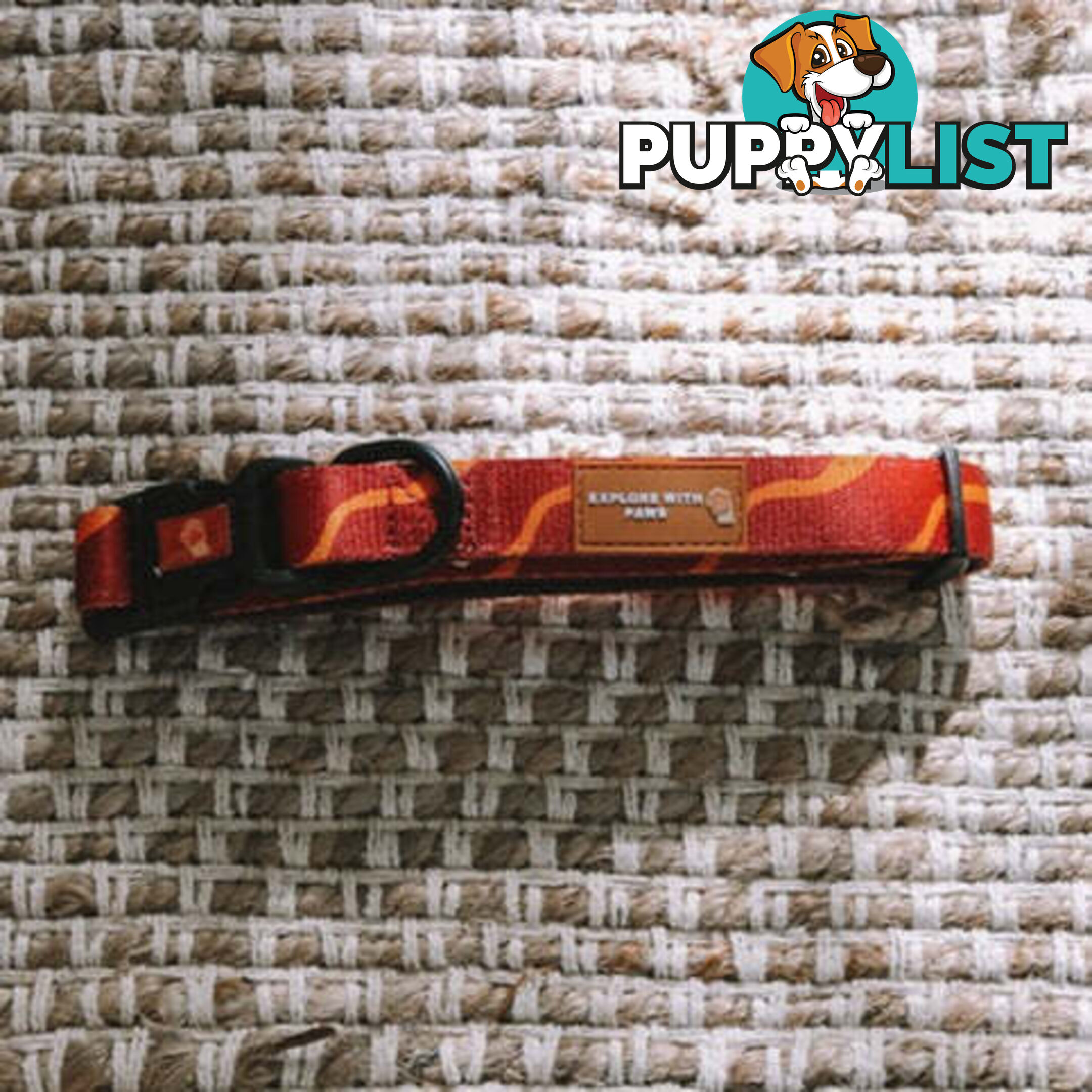 Designer Dog Collars by Explore with Paws - EWPCOLLTIGN