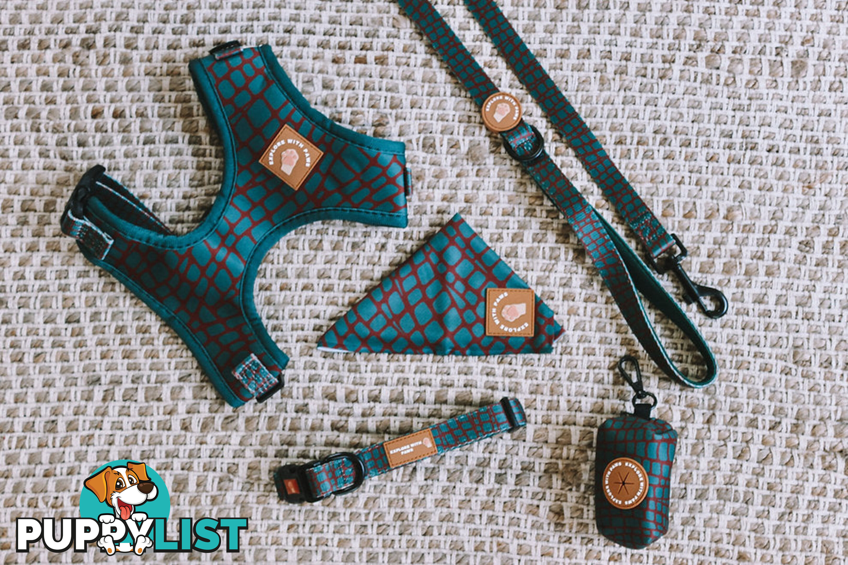 Designer Dog Collars by Explore with Paws - EWPCOLLTIGN