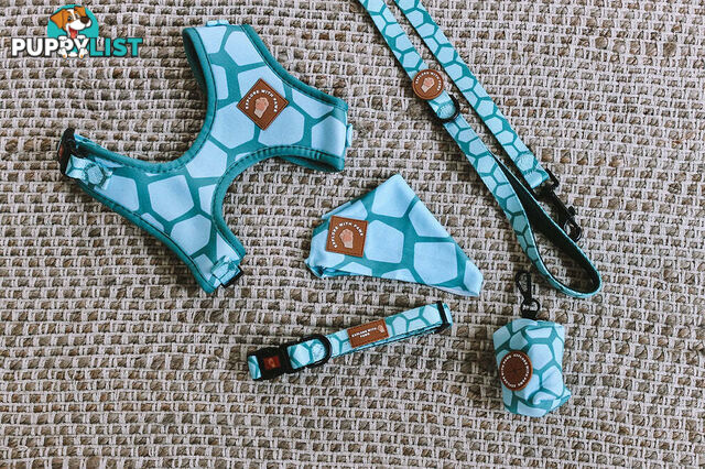 Designer Dog Collars by Explore with Paws - EWPCOLLTIGN