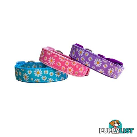 Daisy Dog Collar -  Hand Made by The Bark Side - TBSDAIMBLU