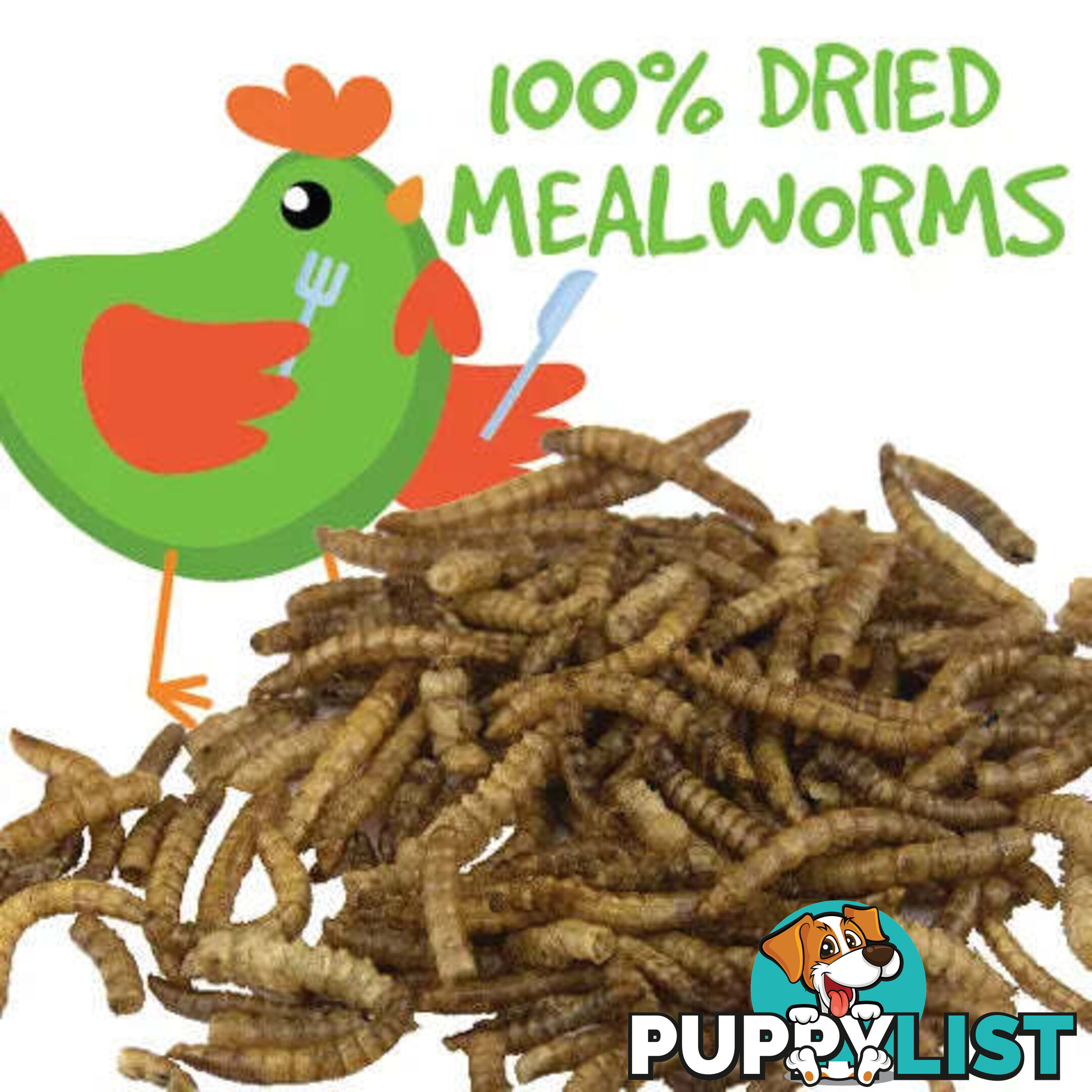 DRIED MEALWORMS - BAINBRIDGE - BB-A8451