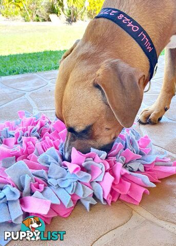 Snuffle Mats - Premium Heavy Duty Rubber Based - Pet Treat Play - Calms Anxiety - Slow Feeder - SNUFFLE-MED-NVGR