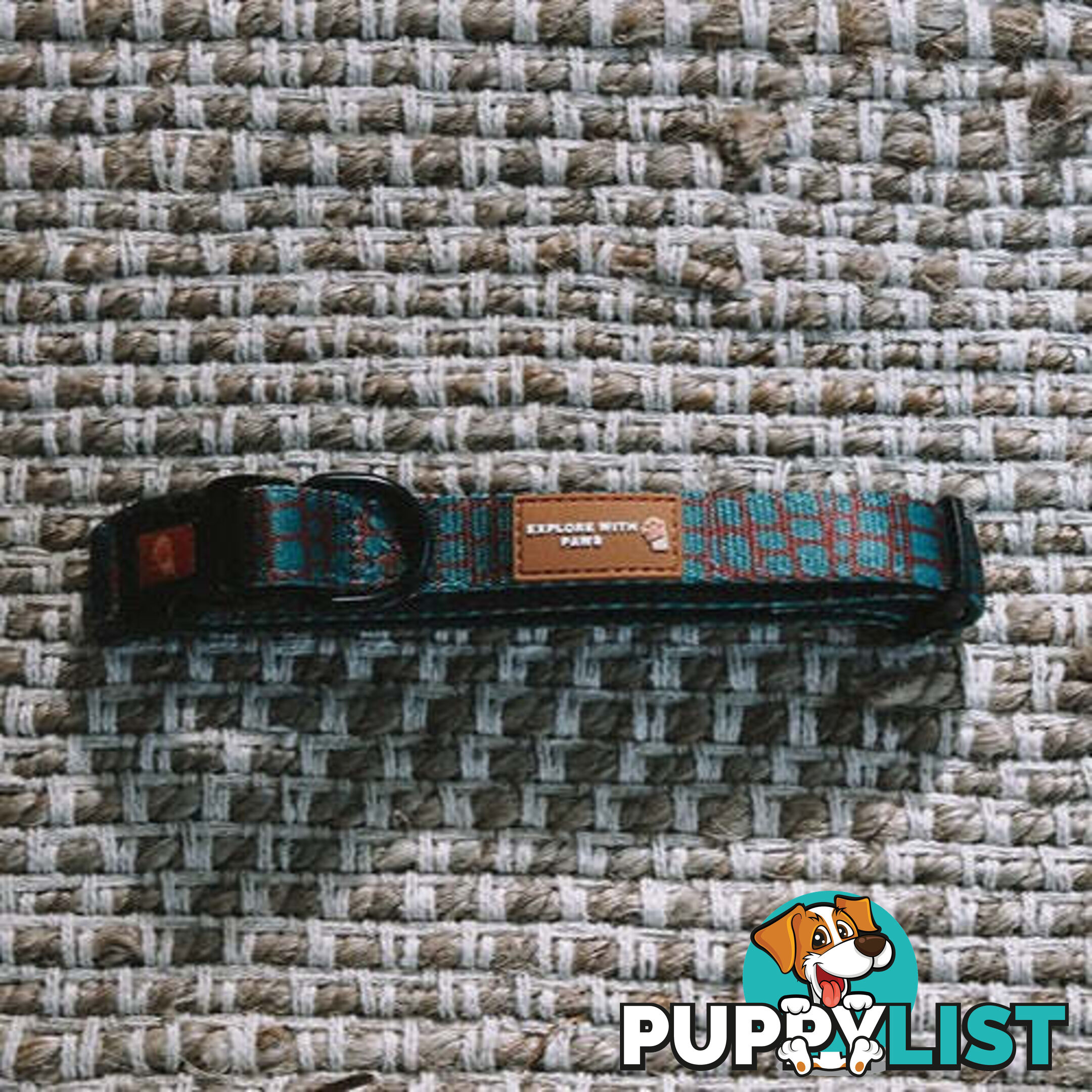 Designer Dog Collars by Explore with Paws - EWPCOLSLEON