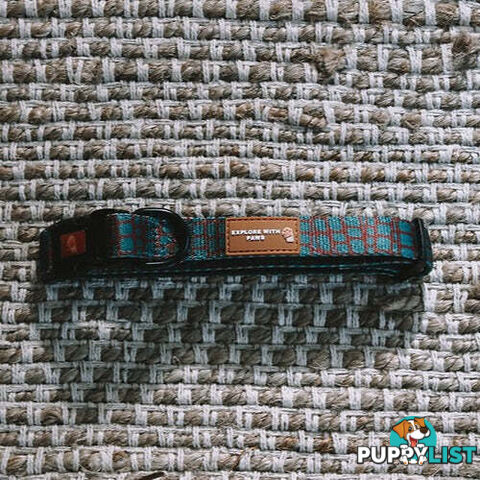 Designer Dog Collars by Explore with Paws - EWPCOLSLEON