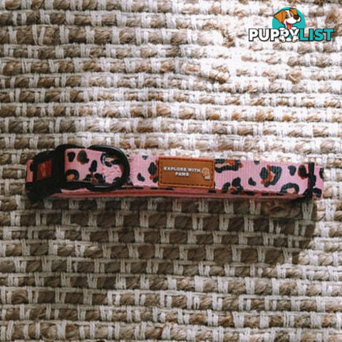 Designer Dog Collars by Explore with Paws - EWPCOLSLEON