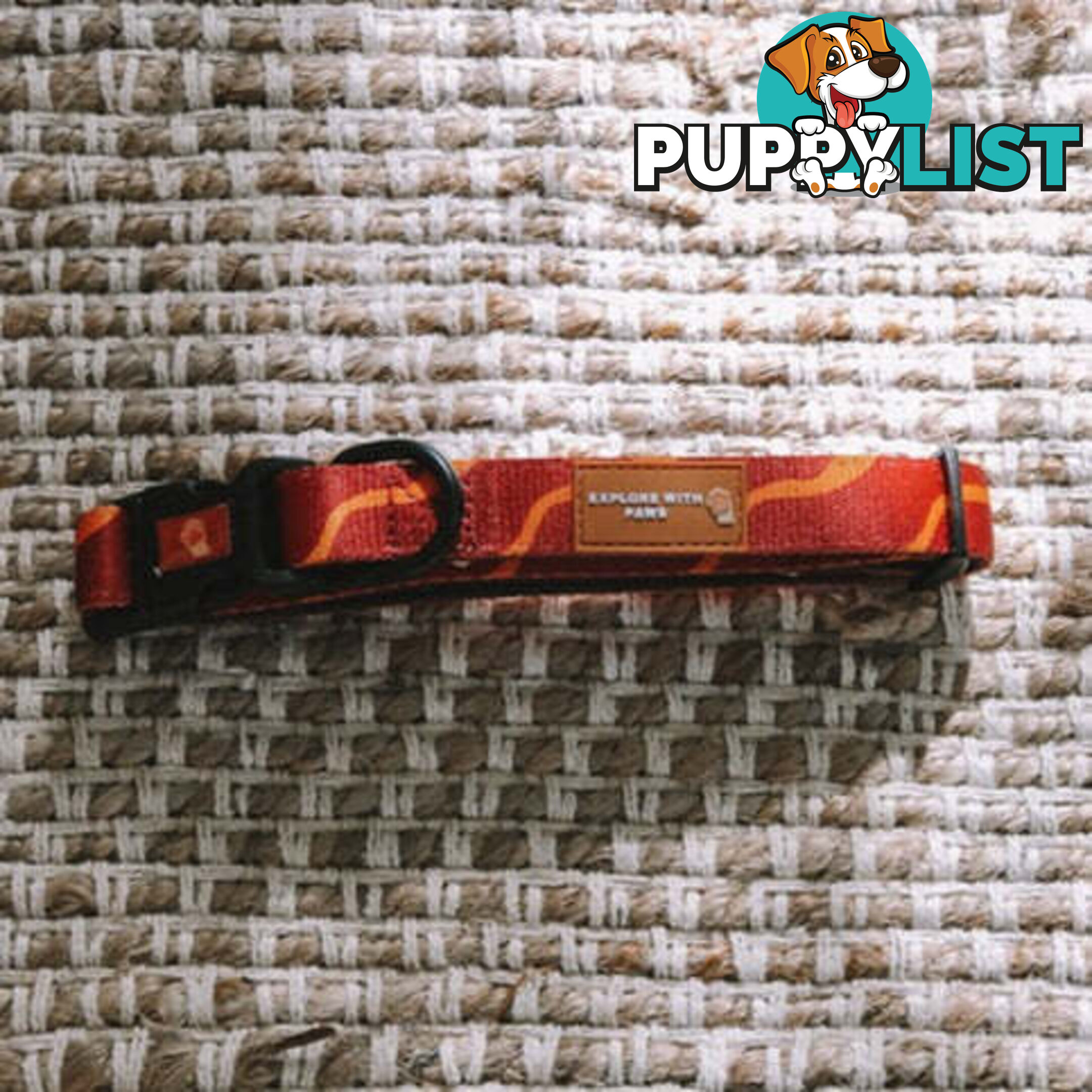 Designer Dog Collars by Explore with Paws - EWPCOLSLEON