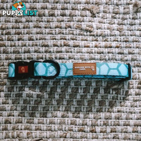 Designer Dog Collars by Explore with Paws - EWPCOLSLEON