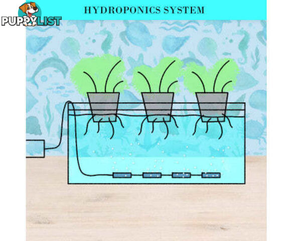 Aquarium Air Pump Oxygen Hydroponic 4 Outlet 670L/H 8W WHITE - V274-AQ-CT404