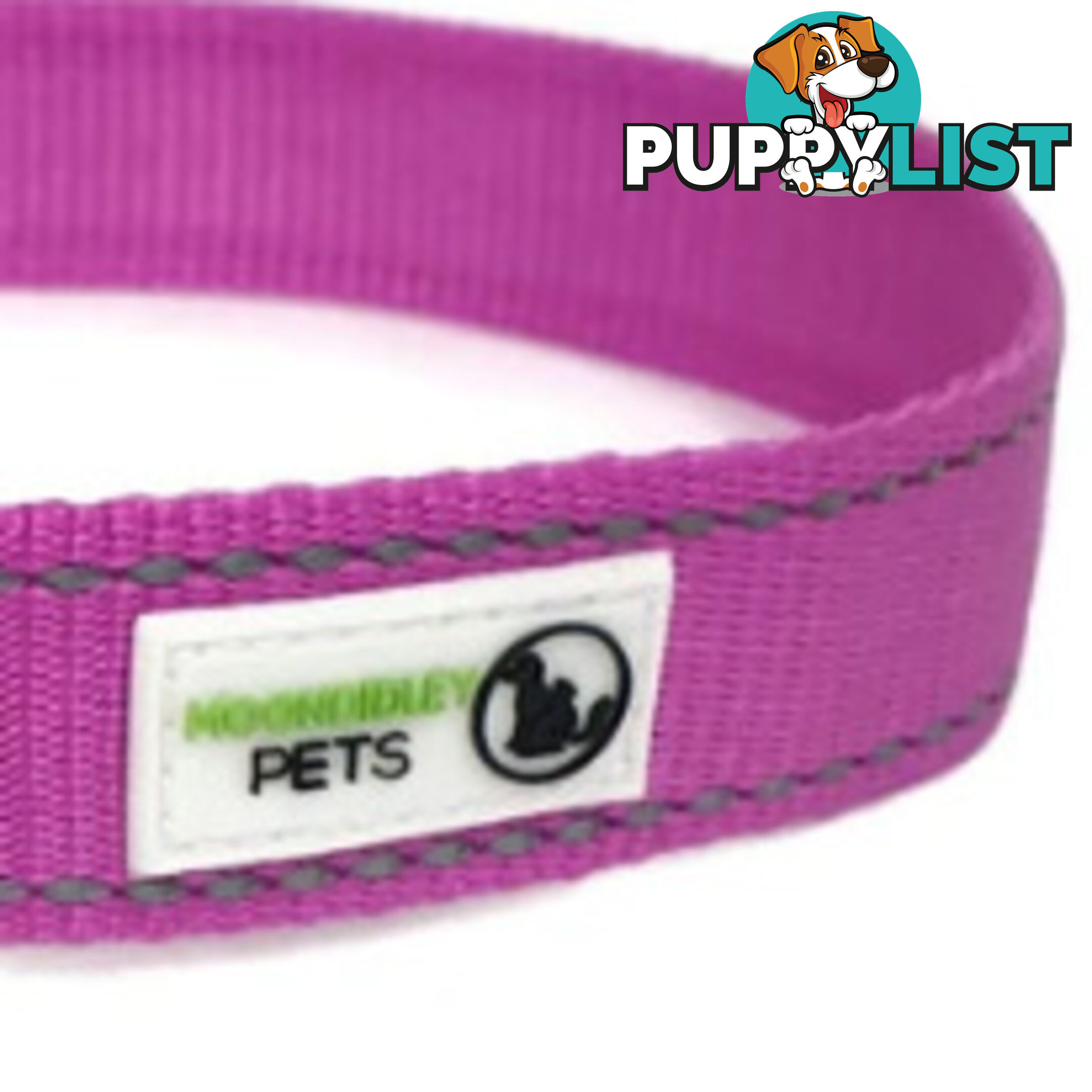Pig Harness - Moondidley Pets - MDPHARPIGBLK