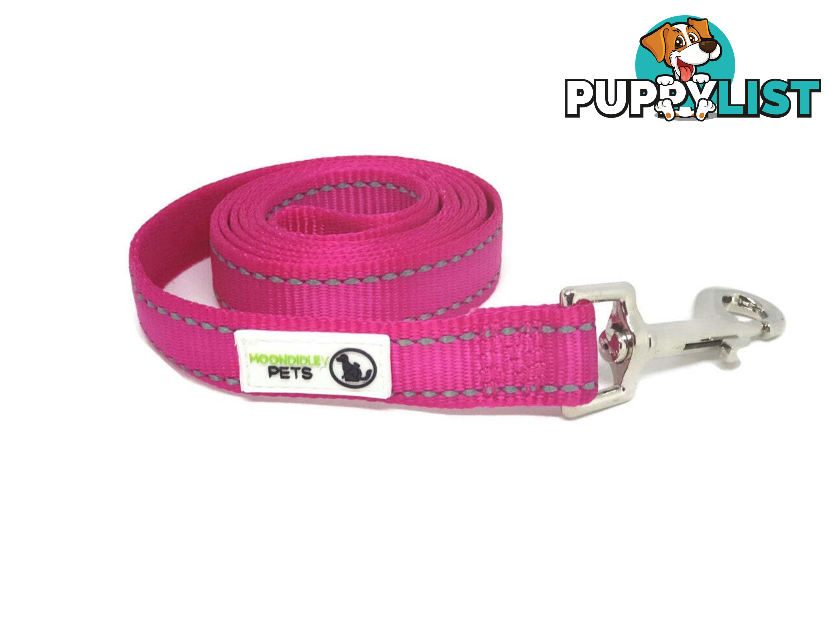 5m Long Nylon w/Reflective Stitching Dog Lead - Moondidley Pets - MDPLDREFGRN205