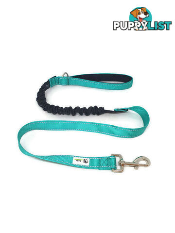 Bungee Dog Lead Nylon w/Reflective Stitching - Moondidley Pets - MDPLDBUNGR