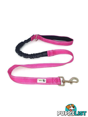 Bungee Dog Lead Nylon w/Reflective Stitching - Moondidley Pets - MDPLDBUNGR
