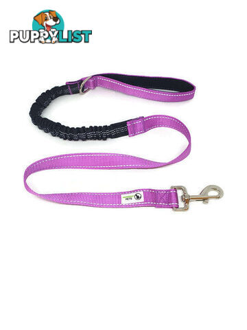 Bungee Dog Lead Nylon w/Reflective Stitching - Moondidley Pets - MDPLDBUNGR