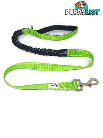 Bungee Dog Lead Nylon w/Reflective Stitching - Moondidley Pets - MDPLDBUNGR