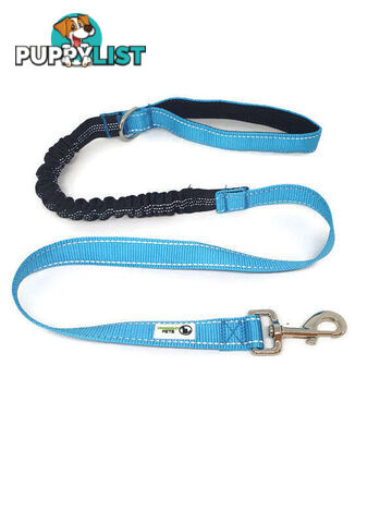 Bungee Dog Lead Nylon w/Reflective Stitching - Moondidley Pets - MDPLDBUNGR