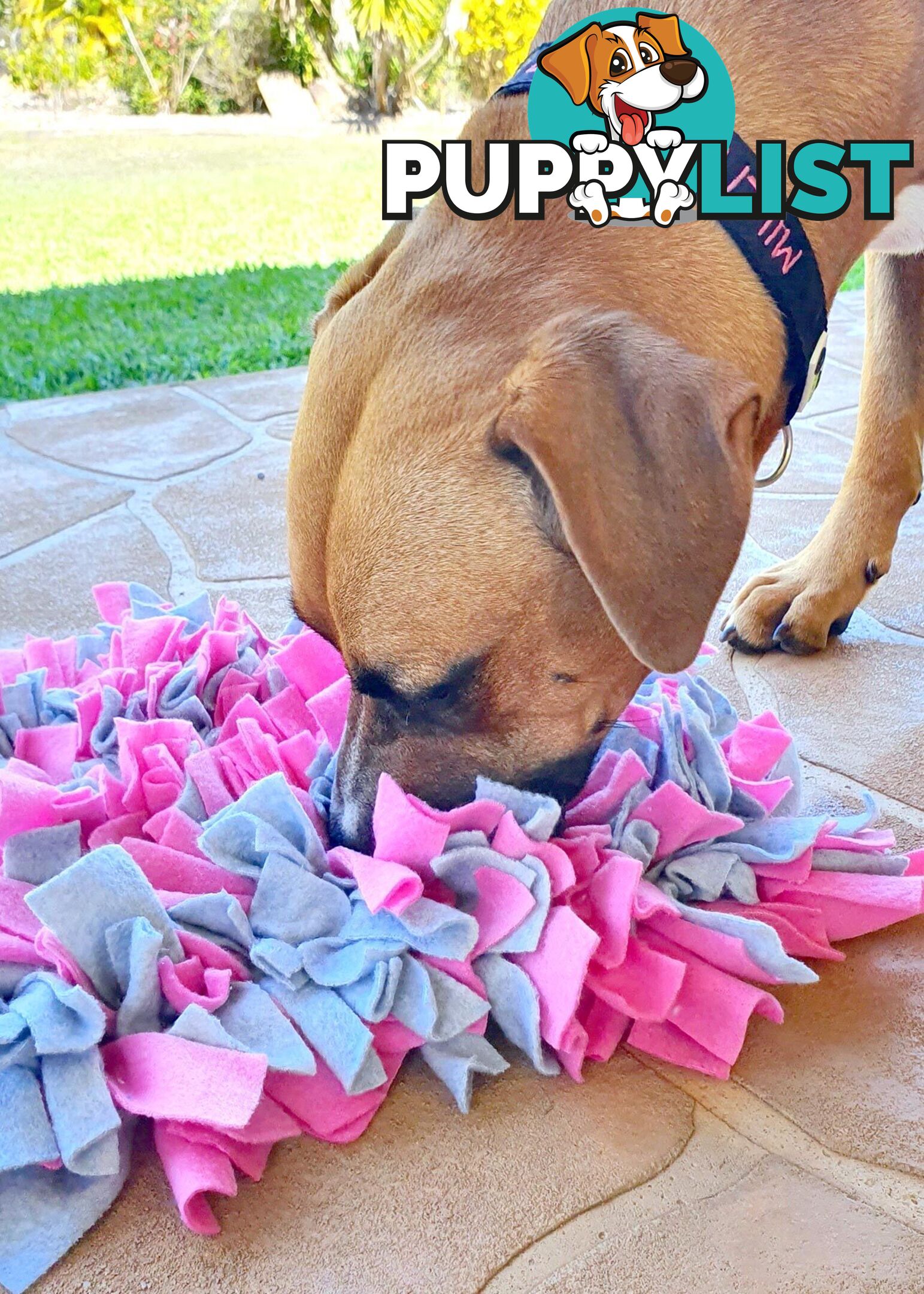 Snuffle Mats - Premium Heavy Duty Rubber Based - Pet Treat Play - Calms Anxiety - Slow Feeder - SNUFFLE-SM-PIGR