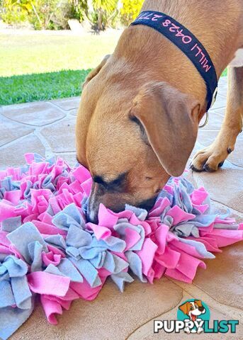 Snuffle Mats - Premium Heavy Duty Rubber Based - Pet Treat Play - Calms Anxiety - Slow Feeder - SNUFFLE-SM-PIGR