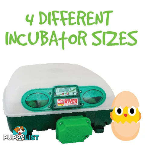 INCUBATORS - BAINBRIDGE - BB-A8074