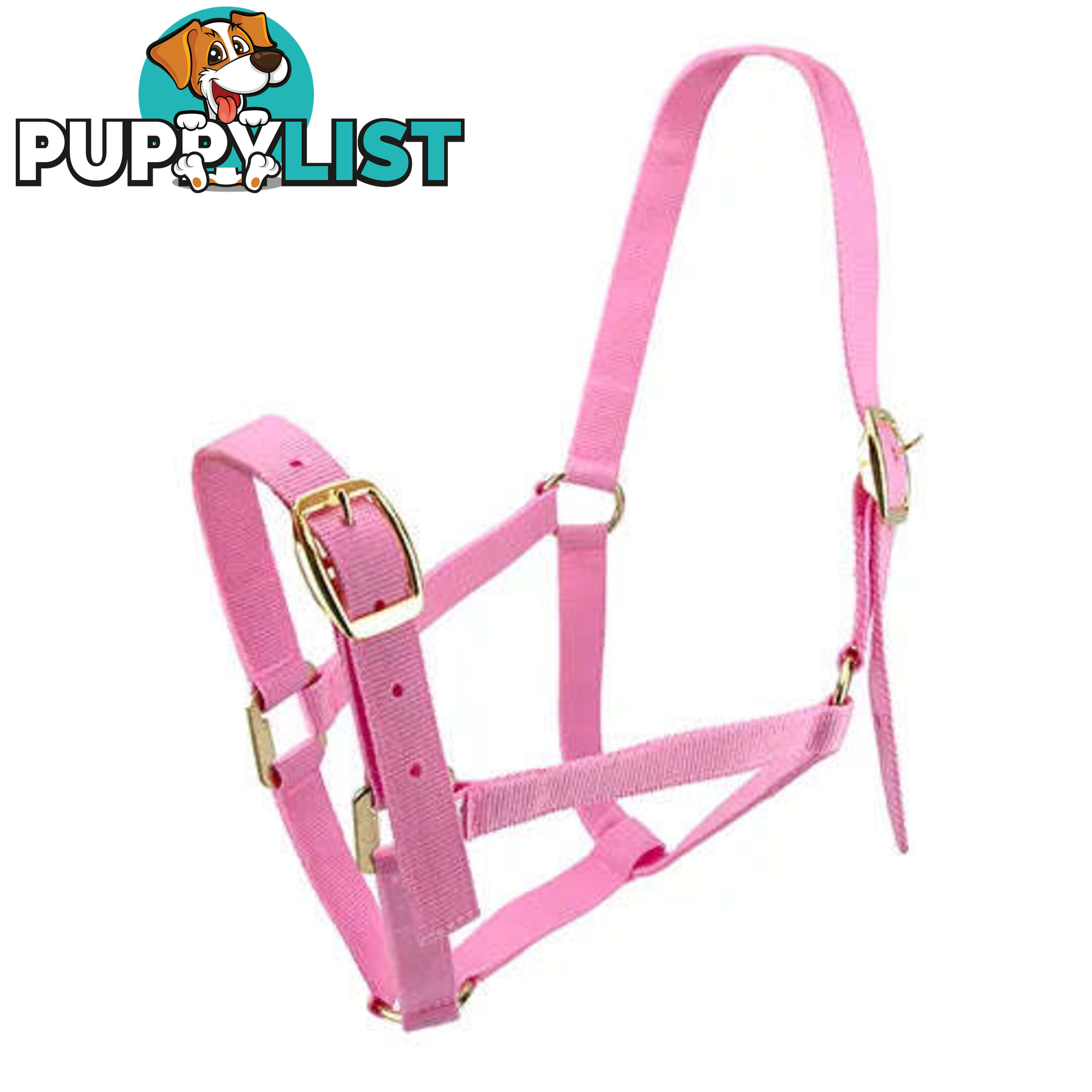 Click to Enlarge HORSE HALTERS - BAINBRIDGE - BB-A2201-BLU