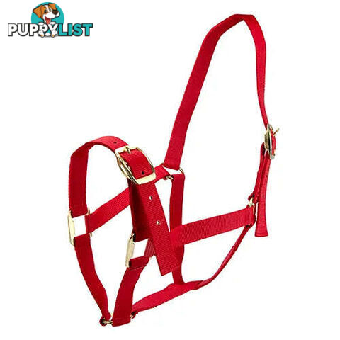 Click to Enlarge HORSE HALTERS - BAINBRIDGE - BB-A2201-BLU