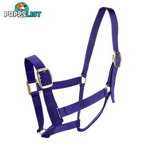 Click to Enlarge HORSE HALTERS - BAINBRIDGE - BB-A2201-BLU